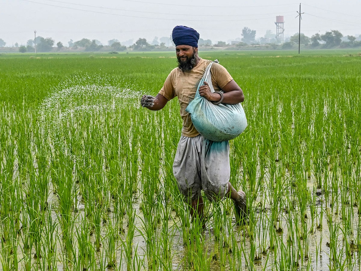 Rain Watch for July 3-9: Kharif sowing pace stable