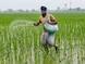 indian economy_bg