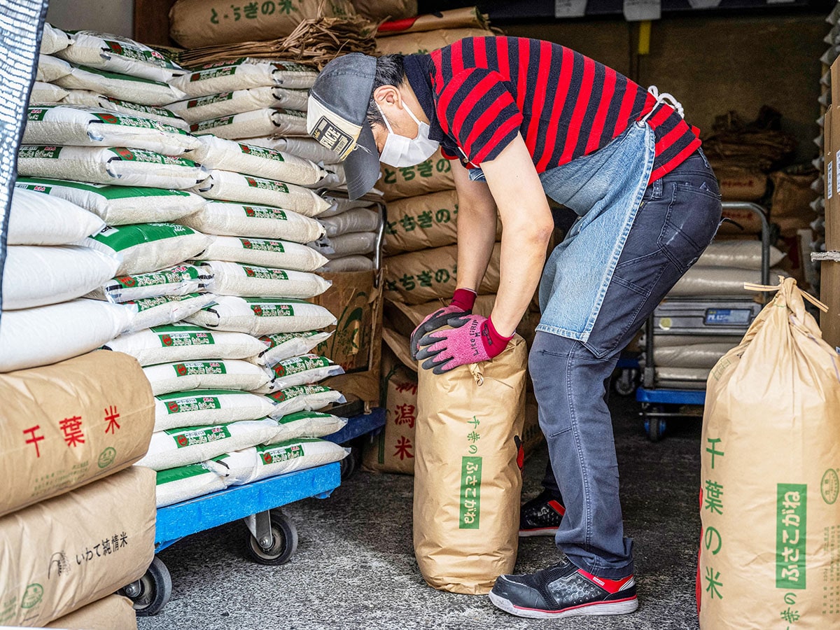 Japan's rice industry in crosshairs as Trump ramps up tariff talk