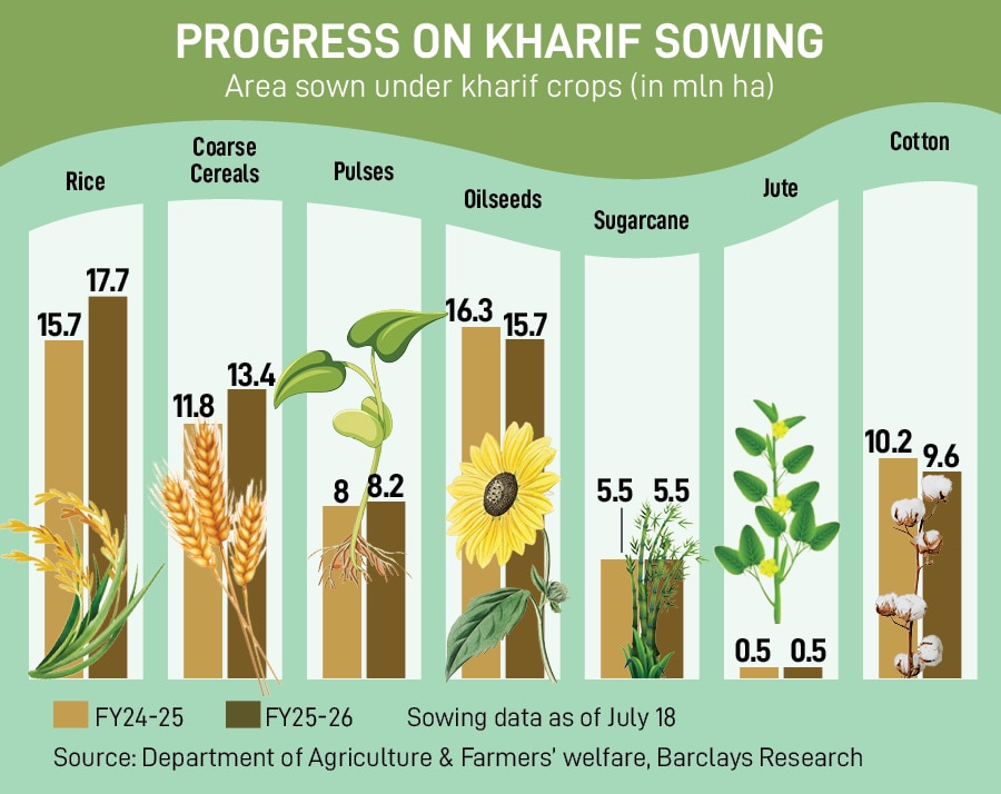 Rain Watch for July 17-23: Monsoon moderates, kharif rice sowing advances