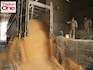 India-US trade deal: Farm imports blocked