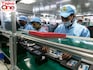Tariff trouble: Disruption in numbers
