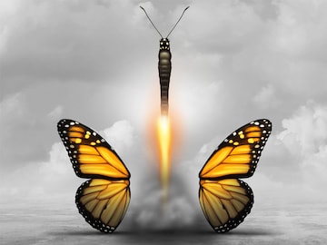 shutterstock_605661146_bg
