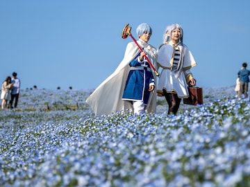 afp__japantourismholiday copy