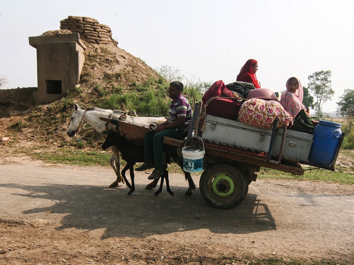 Photo of the Day: Looking for safer shelter