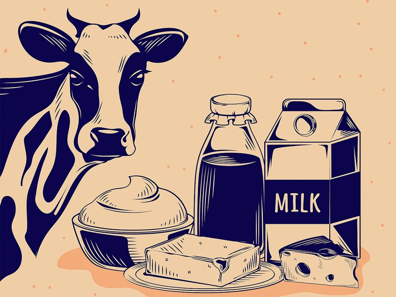 Milking the Green Revolution: Transforming dairy packaging for a sustainable future