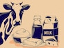 Milking the Green Revolution: Transforming dairy packaging for a sustainable future
