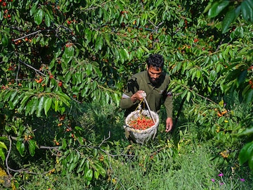 gettyimages-2216582846_bg