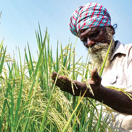 India implements the Mahalanobis Plan