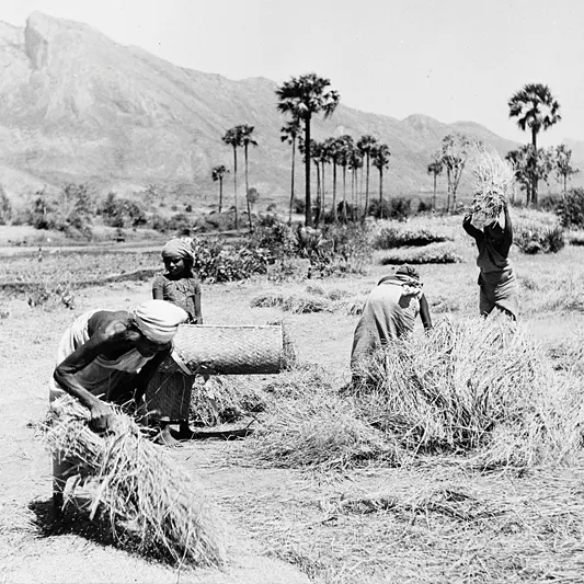 Food Corporation of India set up