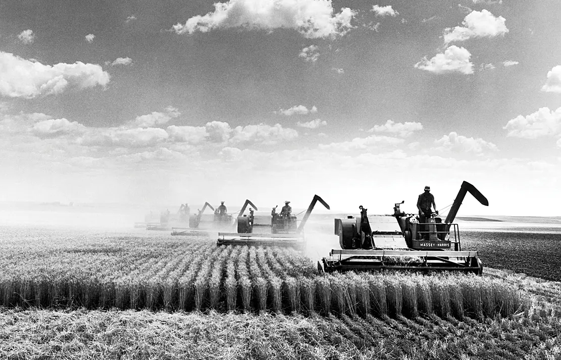 India stops wheat imports from the US