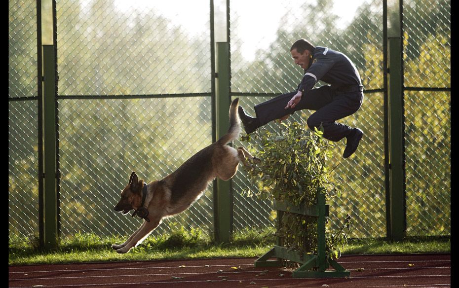  A Belarusian interior ministry officer jumps over an obstacle with his guard dog as they take 