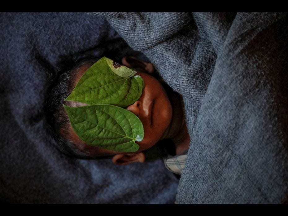 Betel leaves cover the face of 11-month-old Rohingya refugee Abdul Aziz whose wrapped body lay in hi