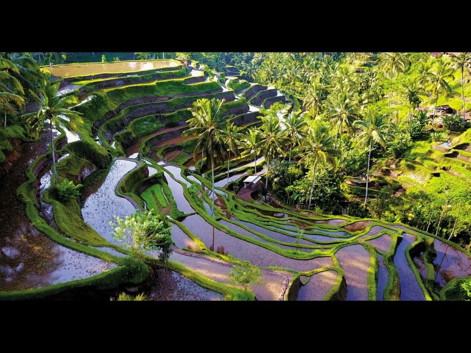 Bali, IndonesiaEscape the tourist-heavy beaches and plush resorts, and take a leisurely ride in Bali