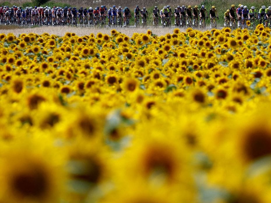 General view of the cyclists in action during stage 8 from Libourne to Limoges, Tour de France cycli