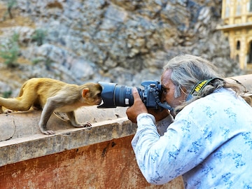 A balancing act: In photos this Week