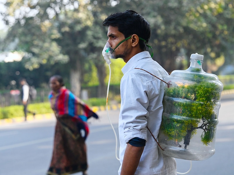 The colour green: Week in photos
