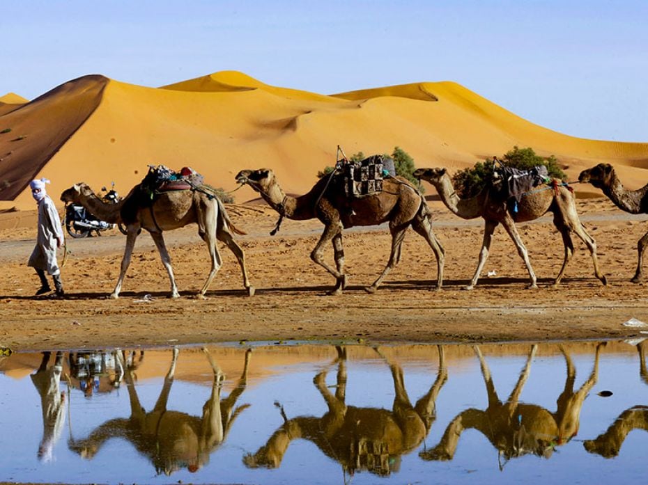 A man leads his camels along the shores of Yasmina, a seasonal lake in the village of Merzouga in th