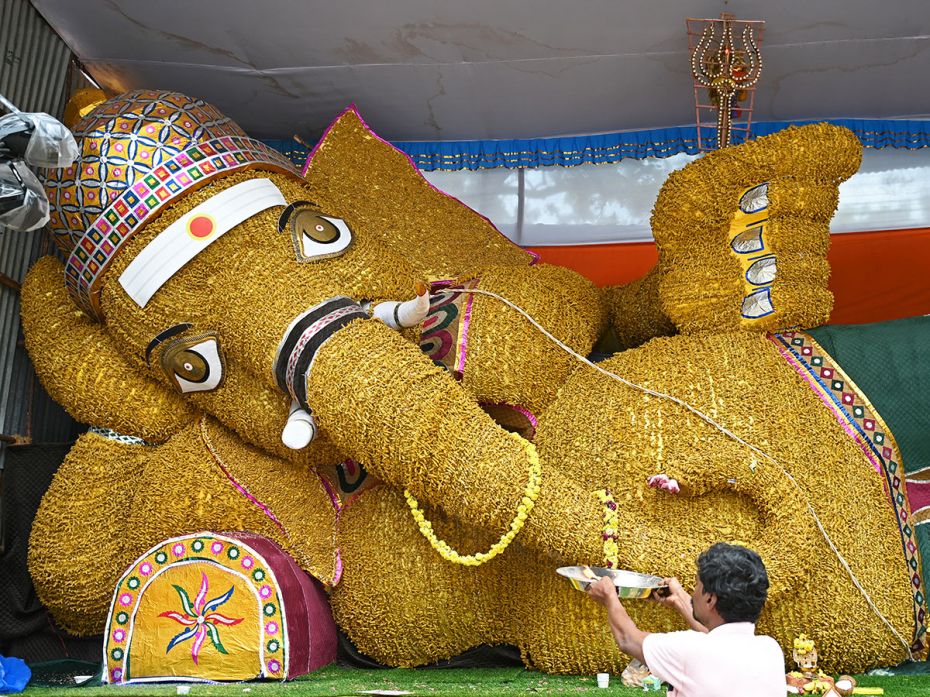 A devotee offers prayers before a Ganesha, enveloped in strung turmeric root, on the occasion of Gan