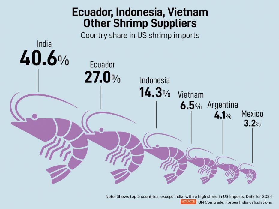 Any disruption in India's shrimp exports to the US could mean significant gains for countries like E