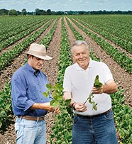 Bayer CropScience