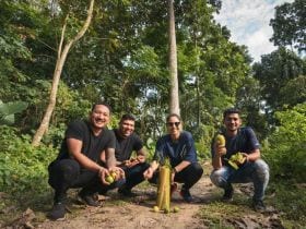 VIDEO: Mumbai pub goes foraging for new ingredients to the North East