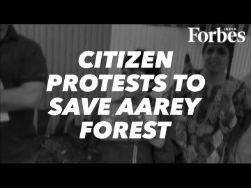 Save Aarey: Citizen protests to save Aarey continue, adivasis join in